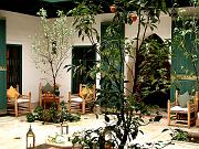 DSCN0155